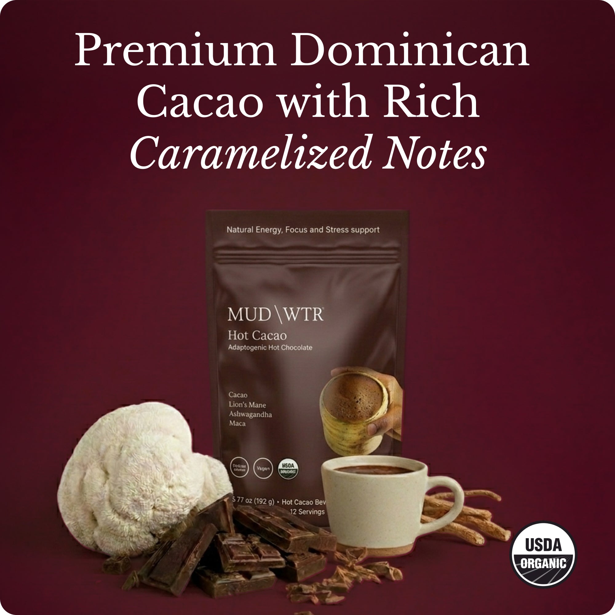 Hot_Chocolate_Image_01